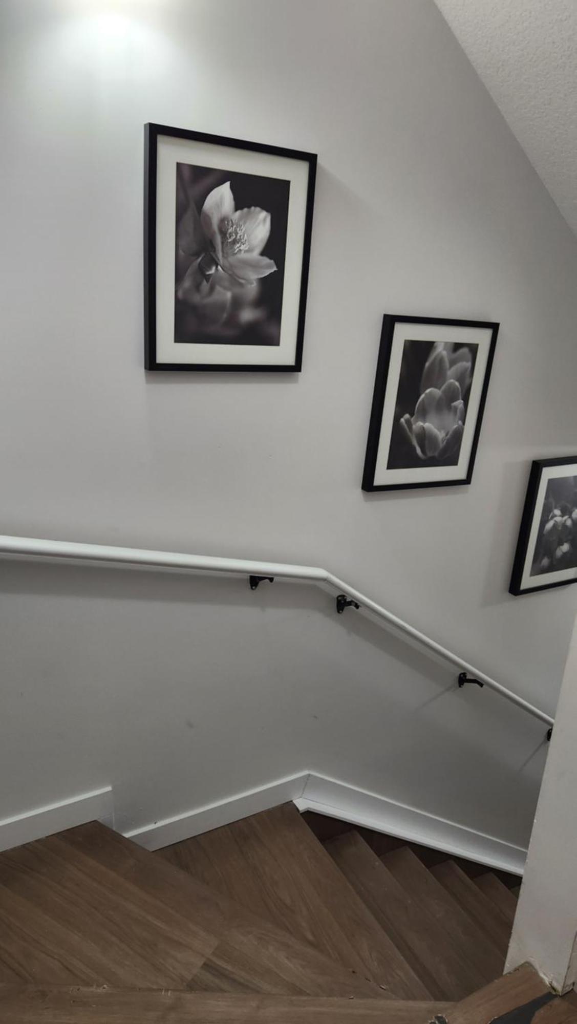 Modern 2 Bedroom Basement Suite At West Edmonton Zewnętrze zdjęcie